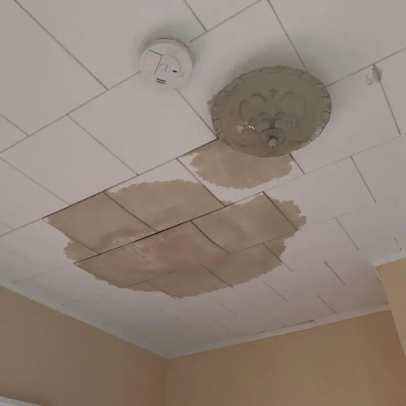 Ceiling Water Damage Repair in Big Horn County, WY