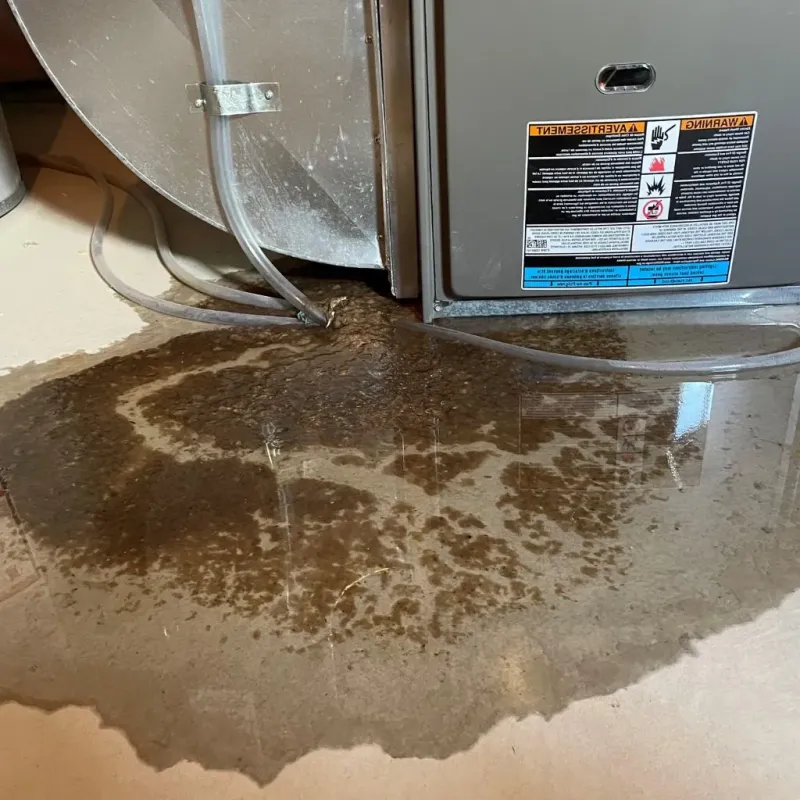 Pipe Burst and Leak Restoration in Big Horn County, WY