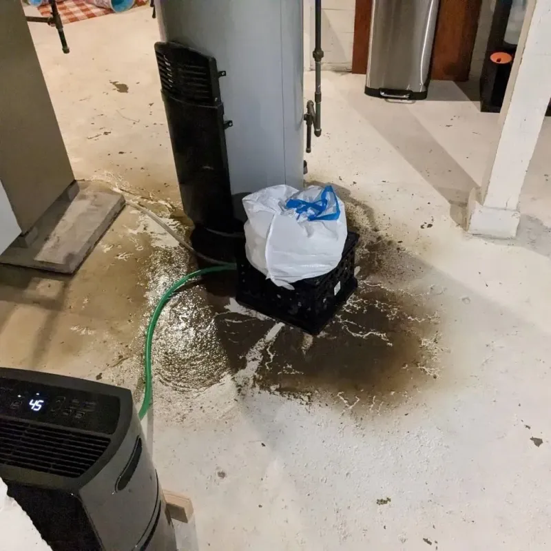 Sewage Backup Cleanup Service in Big Horn County, WY